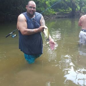 Meet your Posher, Jimmy